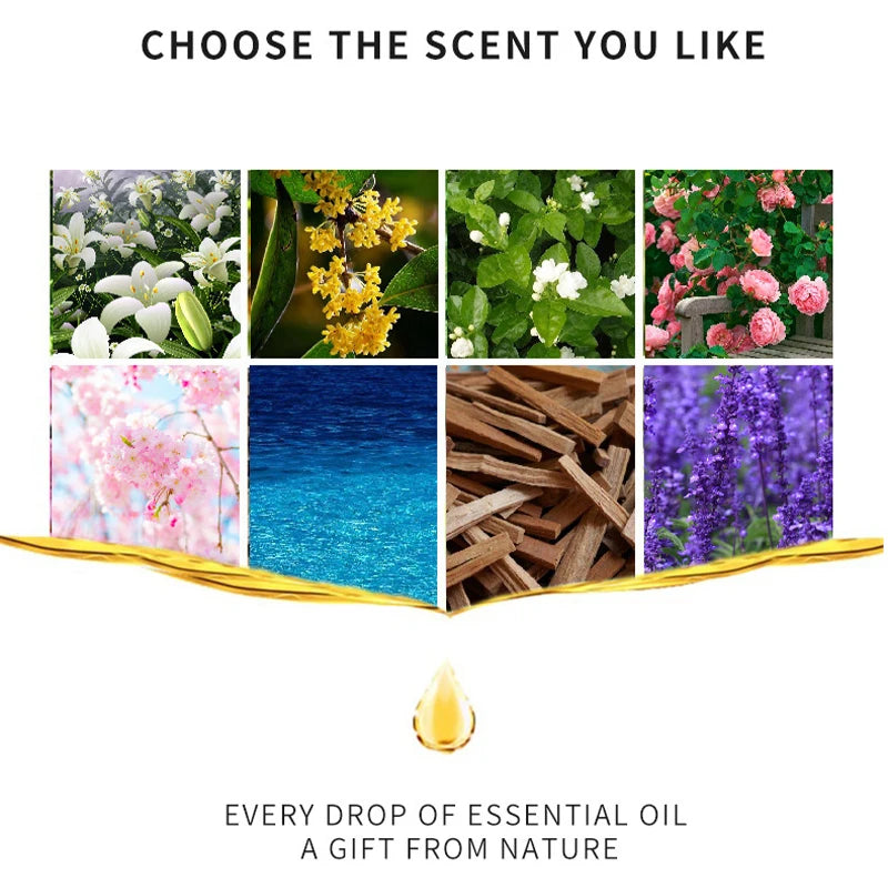 Soluble Essential Oil Incense 10ml Lavender Tea Tree Lemon Rose Ocean Scent for Humidifiers Refreshing Relaxing Stress Relief